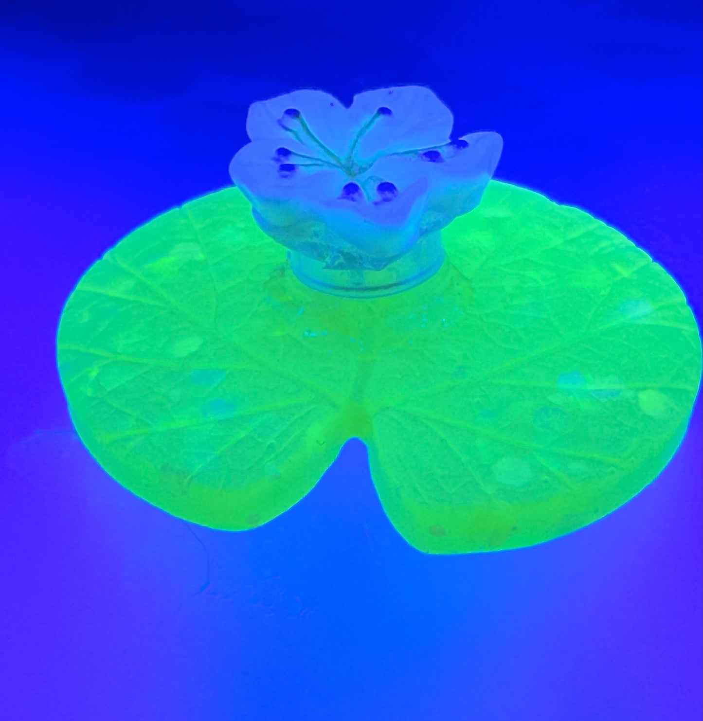 Lily Pad Spinner